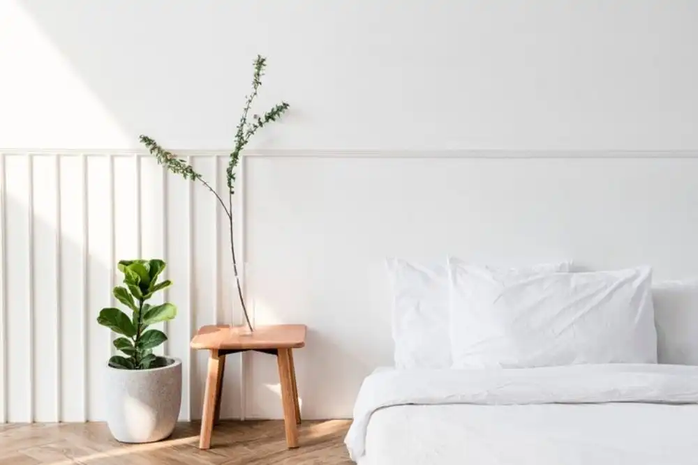 moveis-estilo-minimalismo-plantas