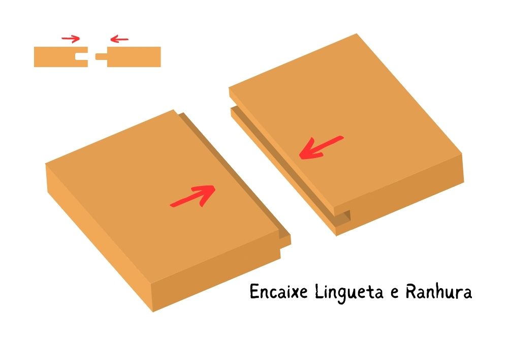 Língua e Ranhura
