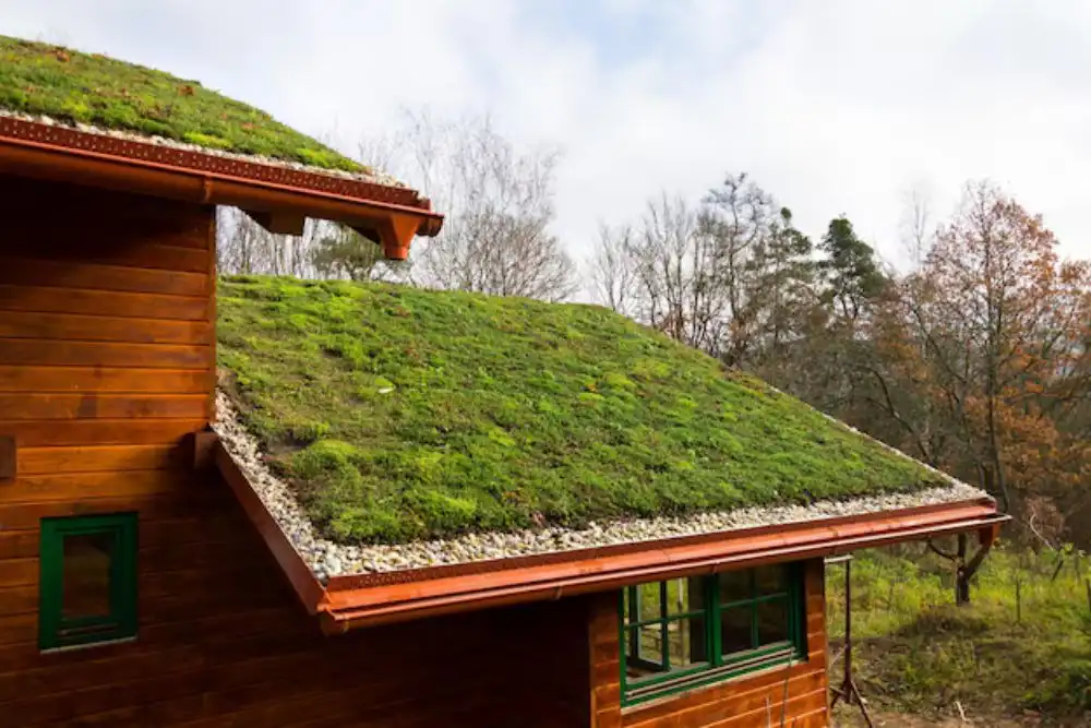 telhado-verde-extensivo