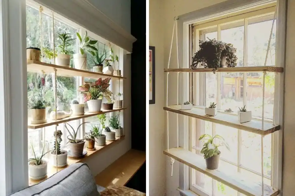 espaço-na-janela-plantas